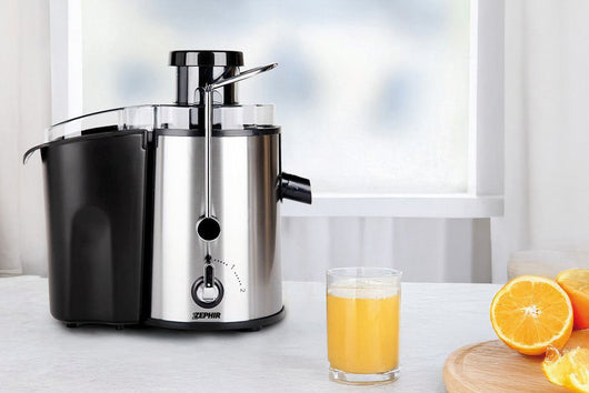 Zephir CENTRIFUGA PROFESSIONALE ?ZHC48? 450 W