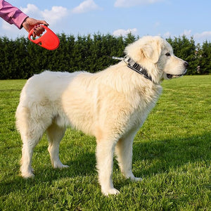 GUINZAGLIO PER CANI FLIPPY ONE TAPE LARGE NERO- FERPLAST- 1,0 pz