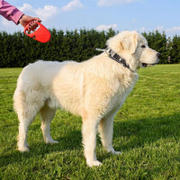 GUINZAGLIO PER CANI FLIPPY ONE TAPE LARGE ROSSO- FERPLAST- 1,0 pz