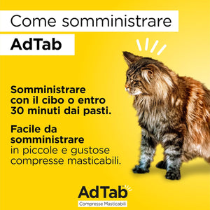 Compresse Antiparassitarie Masticabili AdTab per Gatti da 2 a 8 kg 3 Compresse da 48 mg Protezione Mensile contro Pulci e Zecche Elanco