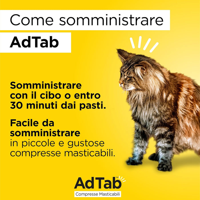 Compresse Antiparassitarie Masticabili AdTab per Gatti da 2 a 8 kg 3 Compresse da 48 mg Protezione Mensile contro Pulci e Zecche Elanco