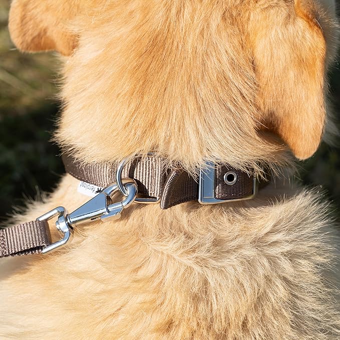 COLLARE PER CANI 'DAYTONA C' mm 25x 45÷53 cm - Col. Nero - FERPLAST