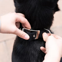 COLLARE PER CANI 'DAYTONA C' mm 20x 35÷43 cm - Col. Nero - FERPLAST