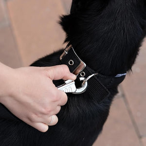 COLLARE PER CANI 'DAYTONA C' mm 15x 27÷35 cm - Col. Nero - FERPLAST