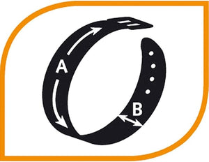 COLLARE PER CANI 'CLUB C' 15 mm x 30÷44 cm - FERPLAST