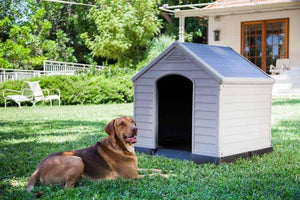 Cuccia per Cani Grand Hotel in Resina 99x99x99 cm con Pavimento Rialzato Resistente agli Agenti Atmosferici Keter