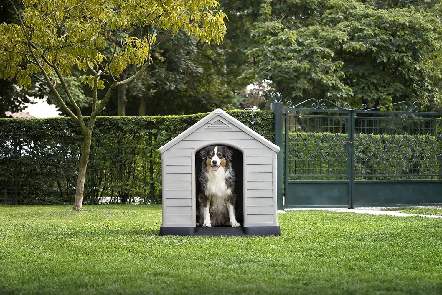 Cuccia per Cani Grand Hotel in Resina 99x99x99 cm con Pavimento Rialzato Resistente agli Agenti Atmosferici Keter