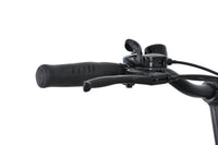 F.LLI SCHIANO fat pieghevole 20" acciaio forcella ammortizzata  10.4 ah LCD Silver