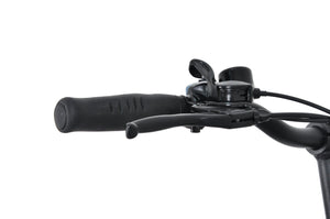 F.LLI SCHIANO fat pieghevole 20" acciaio forcella ammortizzata  10.4 ah LCD Silver