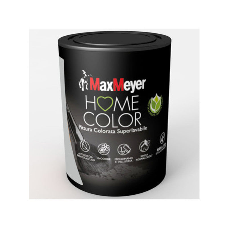 HOME COLOR SUPERLAVABILE LT.0,750 SILVER- 1,0 pz