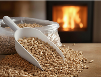 SESSOLE IN POLIPROPILENE BIANCO- - cm.34 - capacitÃE ml.600 - 6 pezzi