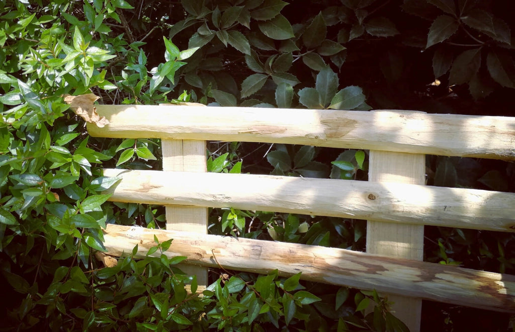 Minirecinzione Minerva 3 Pezzi 50xh35 cm in Legno di Castagno