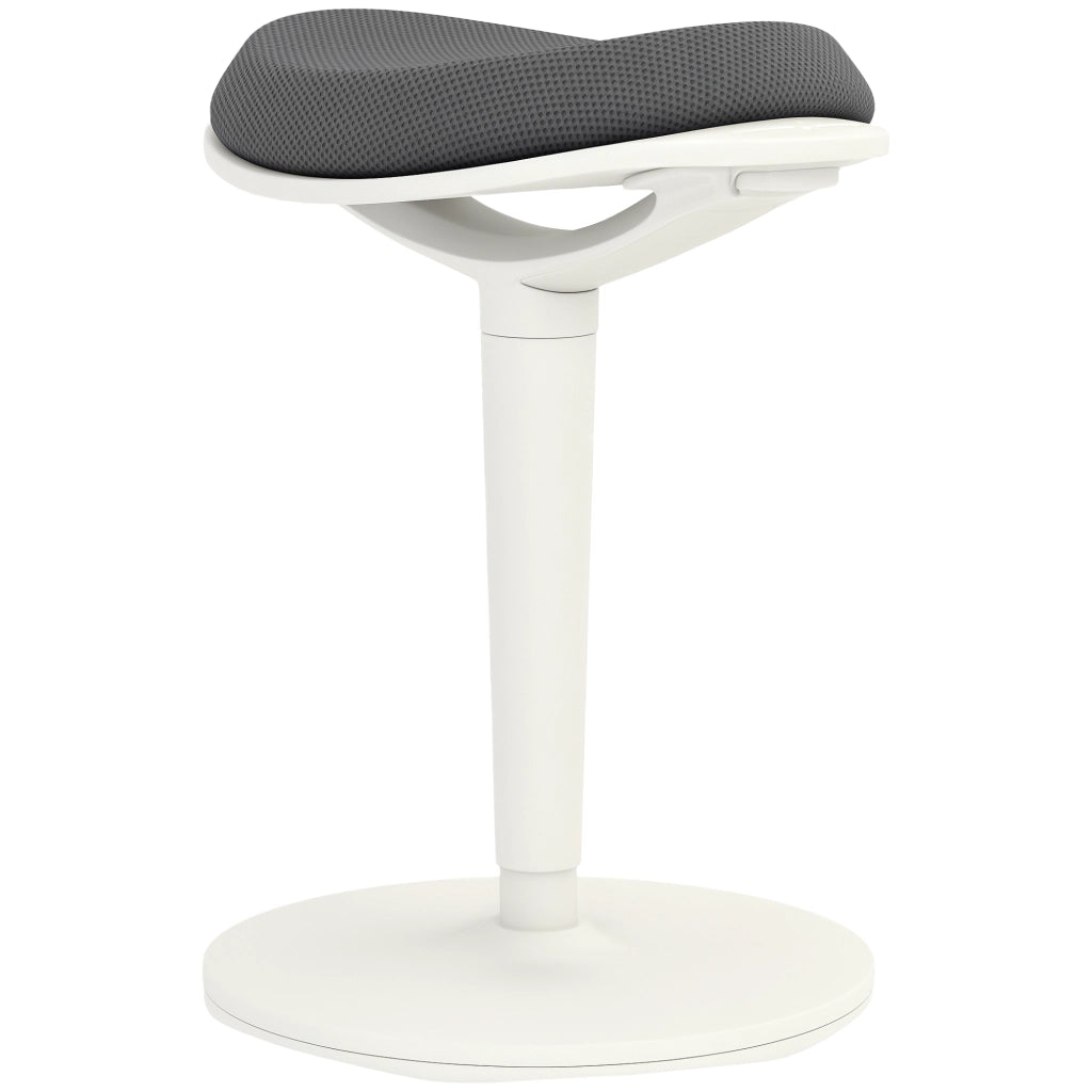Sgabello Ergonomico Regolabile in Altezza ¨C Zephmum ¨C Grigio 42.5x35.5x56.5-71.5cm
