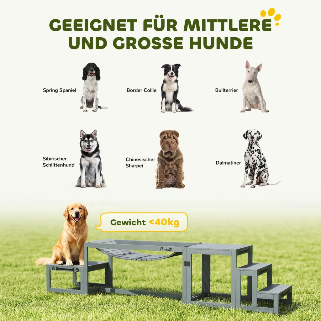 Set Agility per Cani ¨C zephmum ¨C Grigio, Legno di Abete, 117x50x56 cm