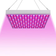 Lampada LED per piante 15W, lampada per crescita di piante, illuminazione per piante di interno