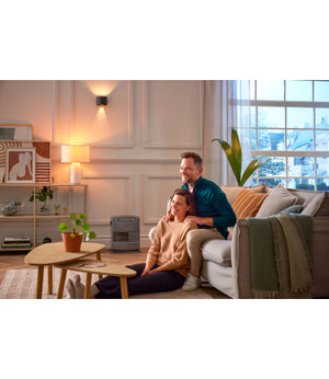 COMBUSTIBILE QLIMA SPARK 10 L- 1,0 pz