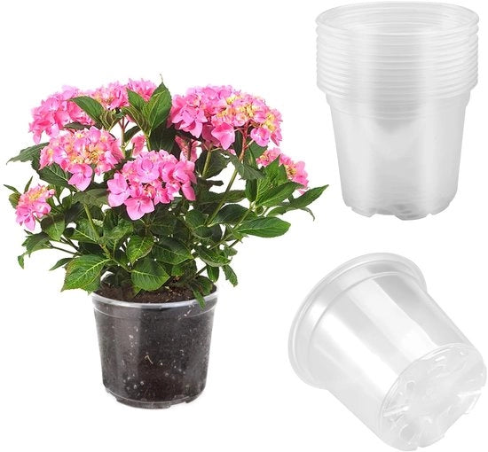 Vaso di Orchidea Trasparente - Rilascia Anidride Carbonica e Sostenibile - Pacchetto da 10