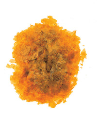 sc gommalacca (gr.40) cod:ferx.69275