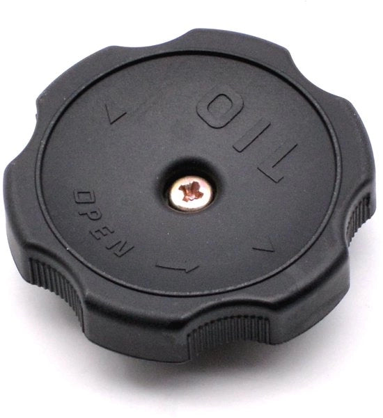 Vendita di Olio per Cambio per Hyundai Galloper - per KIA K2500 - per Mitsubishi L200 - per Pajero I/II/III/IV - per Outlander - Componente Motorizzata