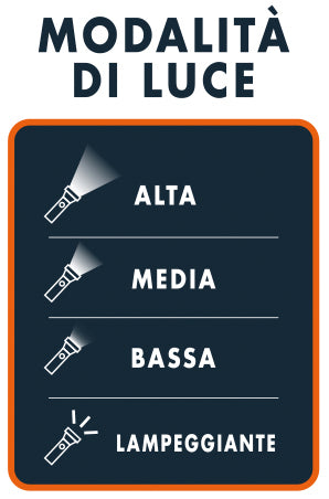 Luxen TORCIA PROFESSIONALE RICARICABILE IN ALLUMINIO 20 W, 2000 lumen, 4 modalitÃE di luce + Zoom