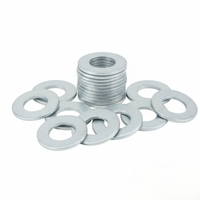 Rondella piana zincata bianca Ø 10 mm pezzi 20