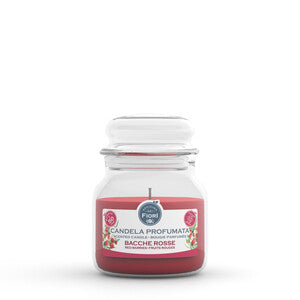 CANDELA OFFICINA DEI FIORI BACCHE ROSSE  50 ORE- 6,0 pz