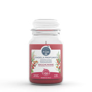 CANDELA OFFICINA DEI FIORI BACCHE ROSSE 100 ORE- 6,0 pz