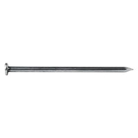 CHIODI TESTA PIANA TP mm 13 x 30 - 100 g.  - Blister Koncreto