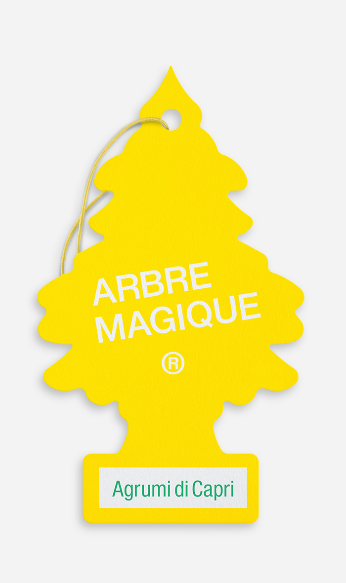 DEODORANTE AUTO 'ARBRE MAGIQUE' 'mediterraneo' - agrumi di Capri- 24 confezione  - BricoGo