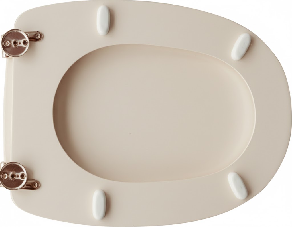 SEDILE WC PER CATALANO VASO TISSI  FORMA 6- Champagne- CW- pezzi 1