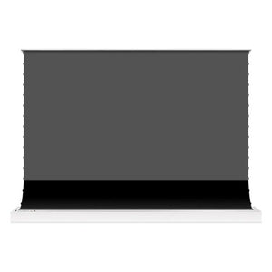 Schermo proiezione hisense mfs100w floor screen white e grey