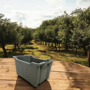 CASSETTA AGRICOLA SOVRAPPONIBILE E IMPILABILE CHIUSA 40 lt - 52x36x31 cm