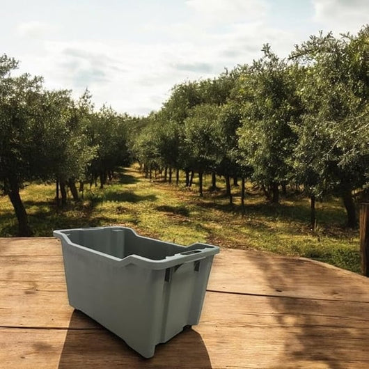 CASSETTA AGRICOLA SOVRAPPONIBILE E IMPILABILE CHIUSA 40 lt - 52x36x31 cm