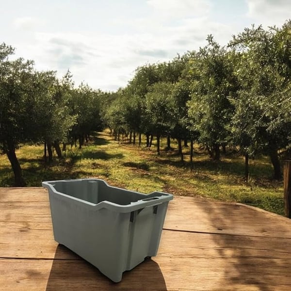 CASSETTA AGRICOLA SOVRAPPONIBILE E IMPILABILE CHIUSA 40 lt - 52x36x31 cm