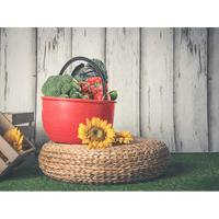 CESTO AGRICOLO 16 lt