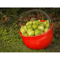 CESTO AGRICOLO 16 lt