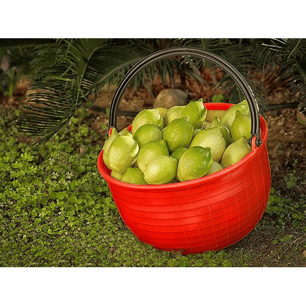 CESTO AGRICOLO 16 lt