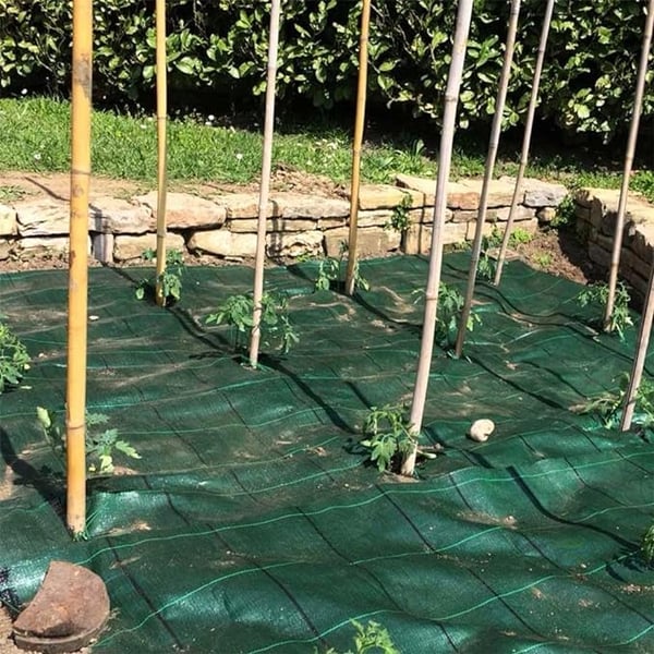 TELO PER PACCIAMATURA VERDE IDEAL STAR h 1x100 mt Piegata H 1 mt - 100 mq- IDEAL STAR