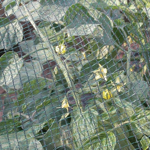 RETE ANTIGRANDINE IDEAL STAR rotolo 3x100 mt (piegato 1,5 mt) - colore verde - IDEAL STAR