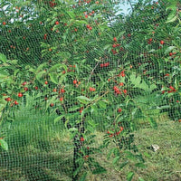 RETE ANTIUCCELLI IDEAL STAR 2x5 mt - colore verde - IDEAL STAR