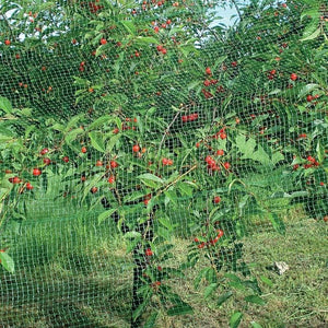 RETE ANTIUCCELLI IDEAL STAR 2x5 mt - colore verde - IDEAL STAR