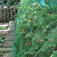 RETE ANTIUCCELLI IDEAL STAR 2x5 mt - colore verde - IDEAL STAR