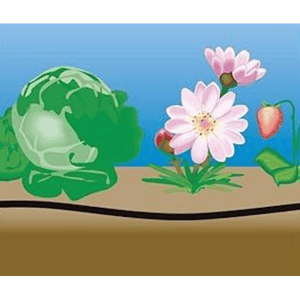 TUBO PER IRRORAZIONE Ø 8x13 mm 20 bar - rotolo 100 mt