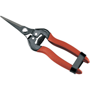 FORBICI PER AGRUMI '16' AUSONIA 16 cm - AUSONIA