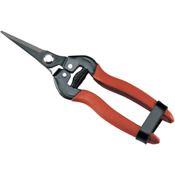 FORBICI PER AGRUMI '16' AUSONIA 16 cm - AUSONIA