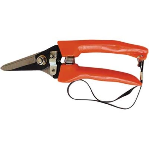 FORBICI COGLIFRUTTA E ORTAGGI '18' 18 cm