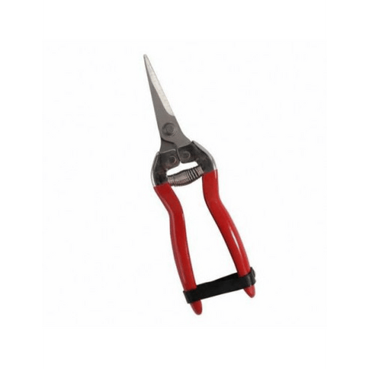 FORBICI COGLIUVA 16 FALCI   16 cm - FALCI