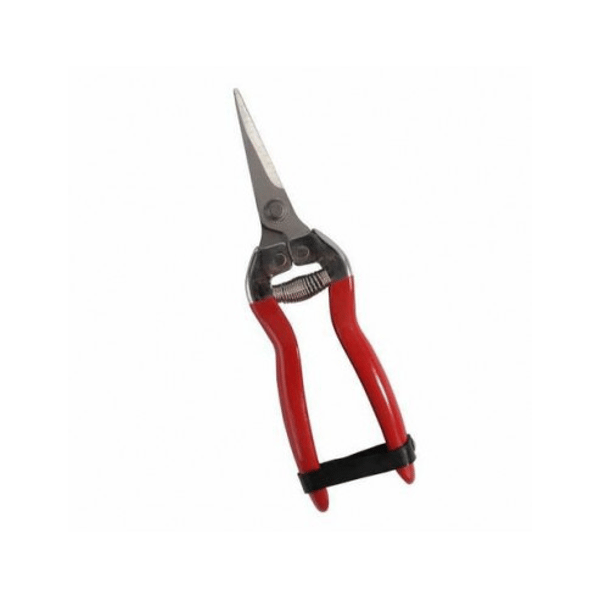 FORBICI COGLIUVA 16 FALCI   16 cm - FALCI