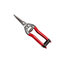 FORBICI COGLIUVA 19 FALCI 19 cm - FALCI