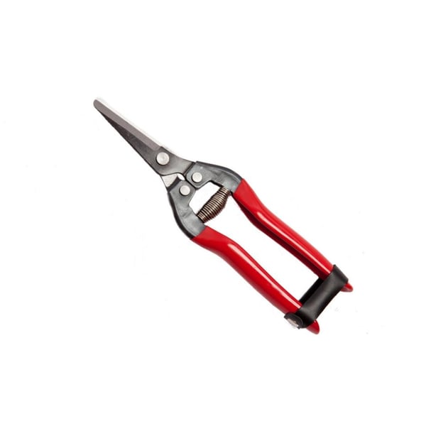 FORBICI COGLIUVA 19 FALCI 19 cm - FALCI